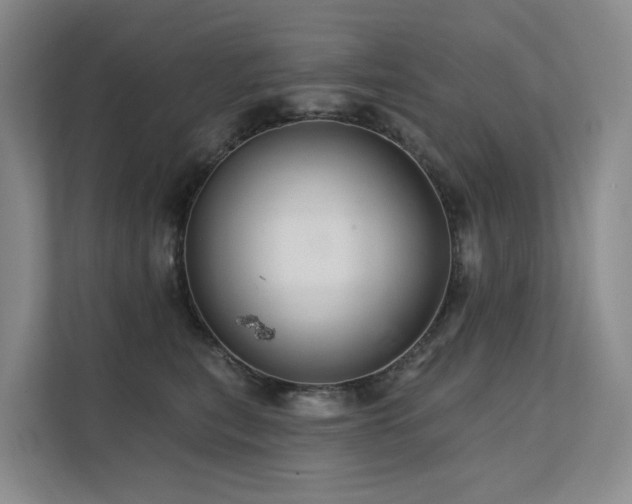 X0000112160567200908071140