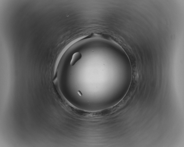 X0000112160568200908071140