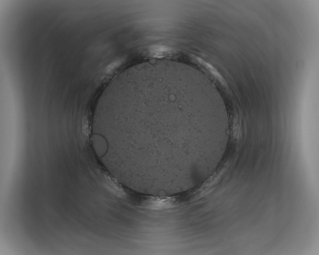 X0000112160569200908071140