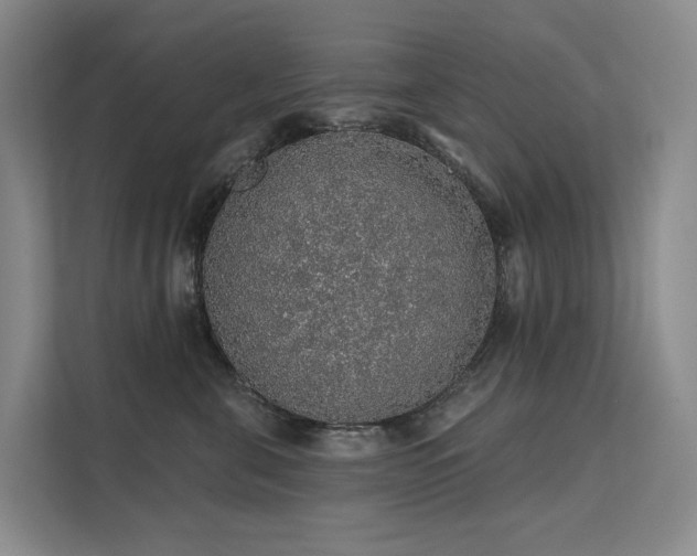 X0000112160571200908071140