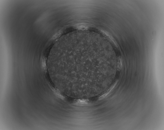 X0000112160573200908071140
