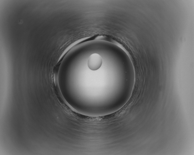 X0000112160576200908071140
