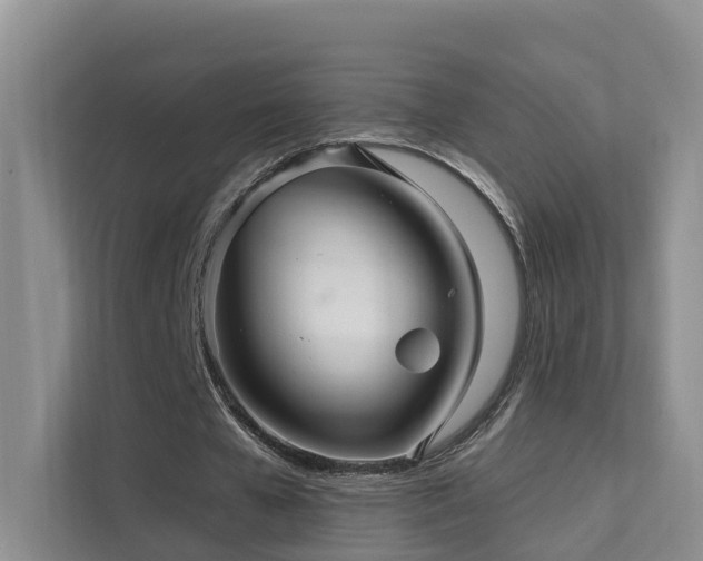 X0000112160577200908071140
