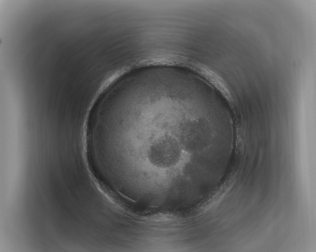 X0000112160578200908071140
