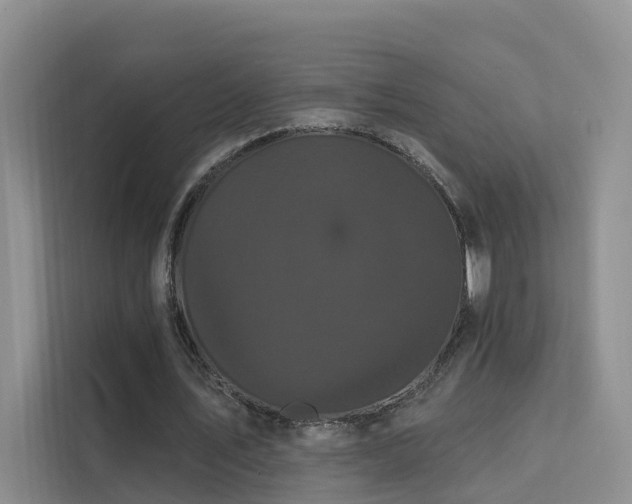 X0000112160579200908071140