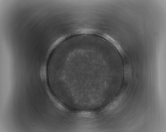 X0000112160581200908071140