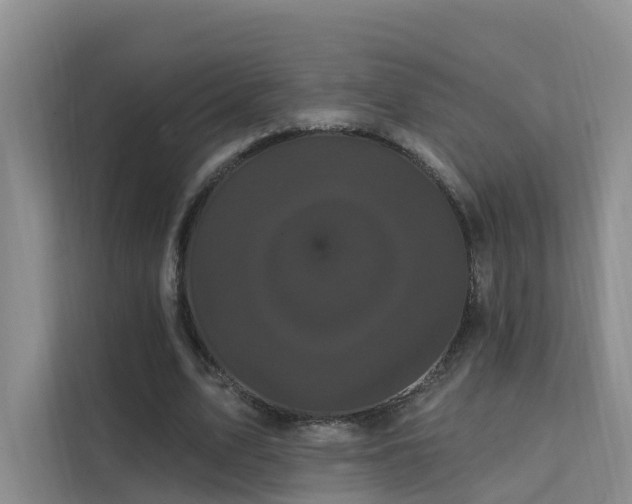 X0000112160583200908071140