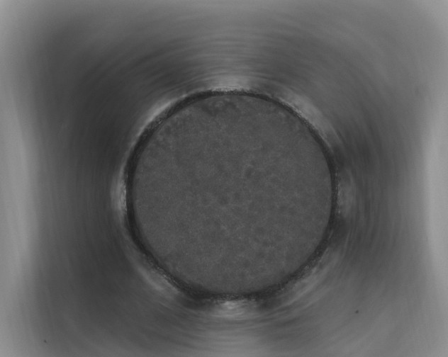 X0000112160584200908071140