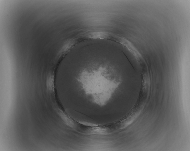 X0000112160585200908071140