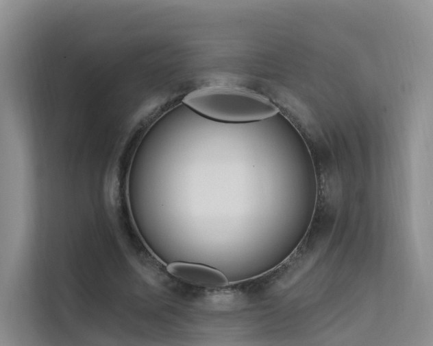 X0000112160587200908071140