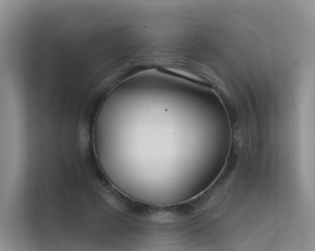 X0000112160593200908071140