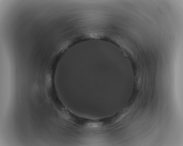 X0000112160595200908071140