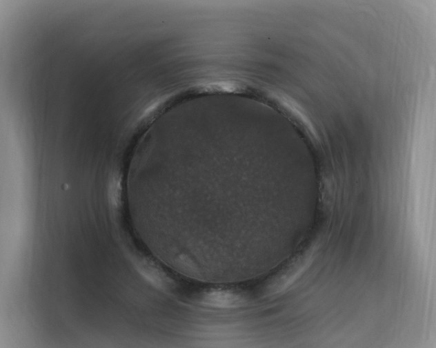 X0000112160596200908071140