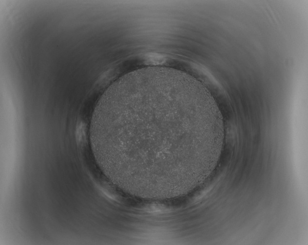 X0000112160598200908071140