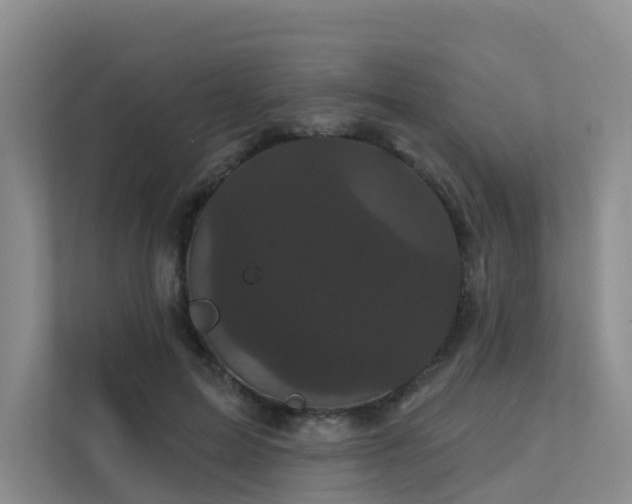 X0000112160599200908071140