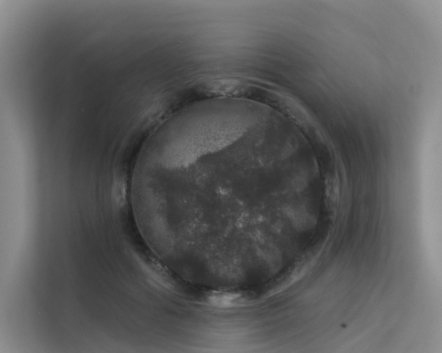 X0000112160602200908071139