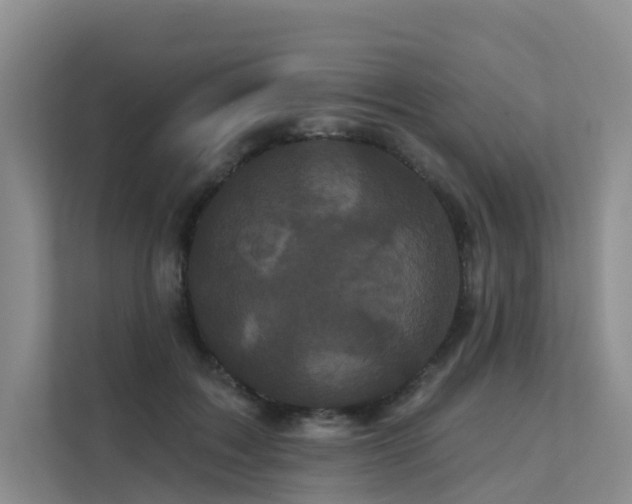 X0000112160603200908071139