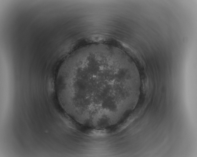 X0000112160606200908071139