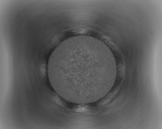 X0000112160612200908071139