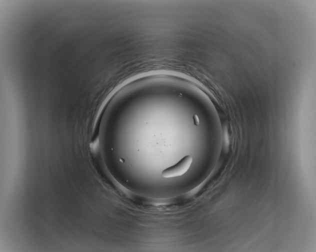 X0000112160613200908071139