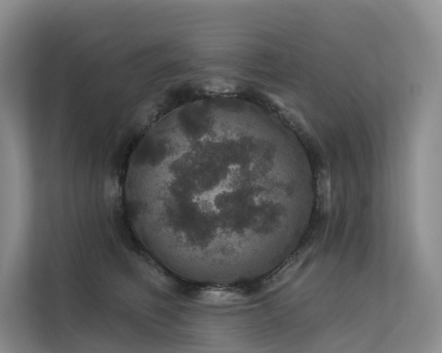 X0000112160614200908071139