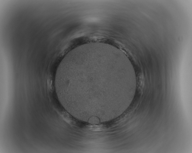 X0000112160615200908071139