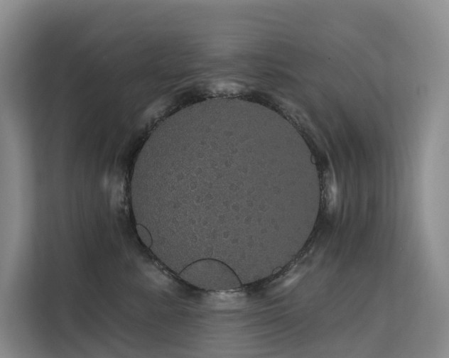 X0000112160619200908071139