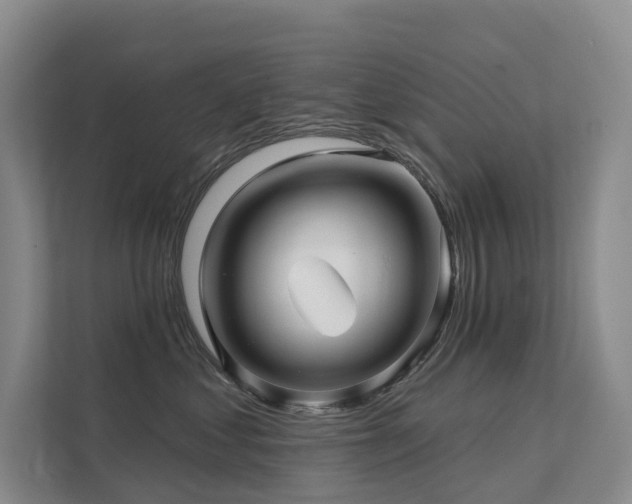 X0000112160621200908071139