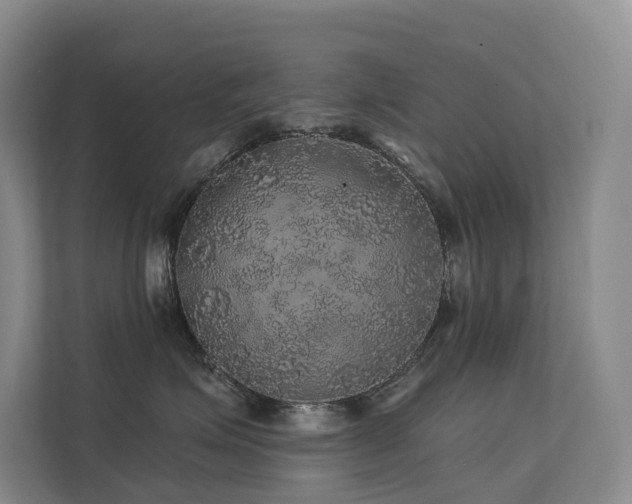 X0000112160623200908071139