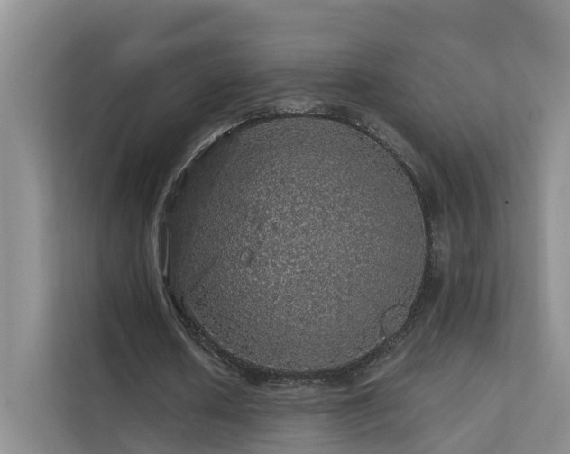 X0000112160626200908071139