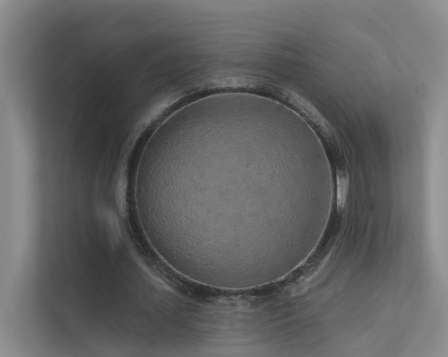 X0000112160627200908071139