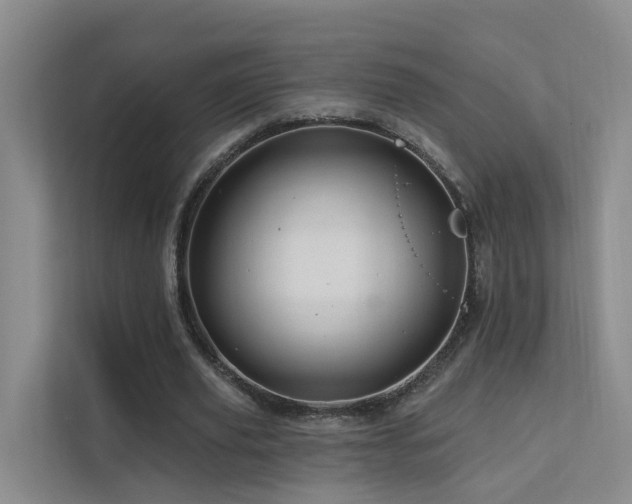 X0000112160629200908071139