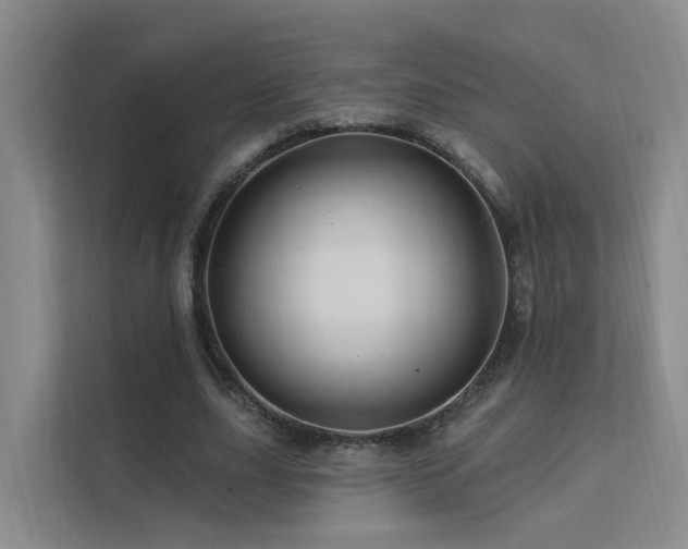 X0000112160631200908071139