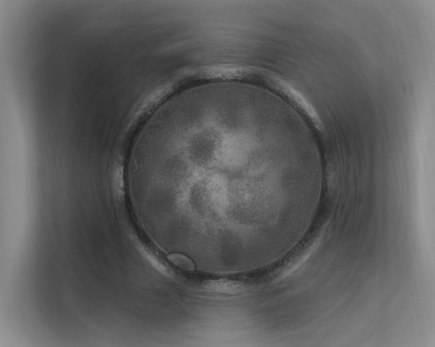 X0000112160633200908071139