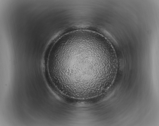 X0000112160634200908071139