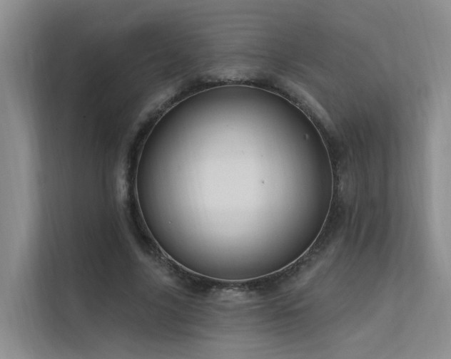 X0000112160635200908071139