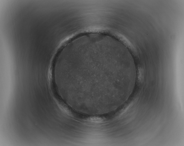 X0000112160636200908071139