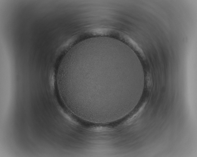 X0000112160637200908071139