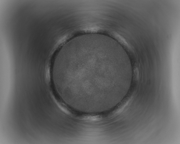 X0000112160638200908071139