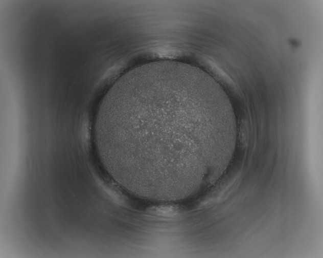 X0000112160639200908071139