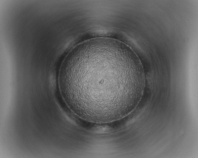 X0000112160642200908071139