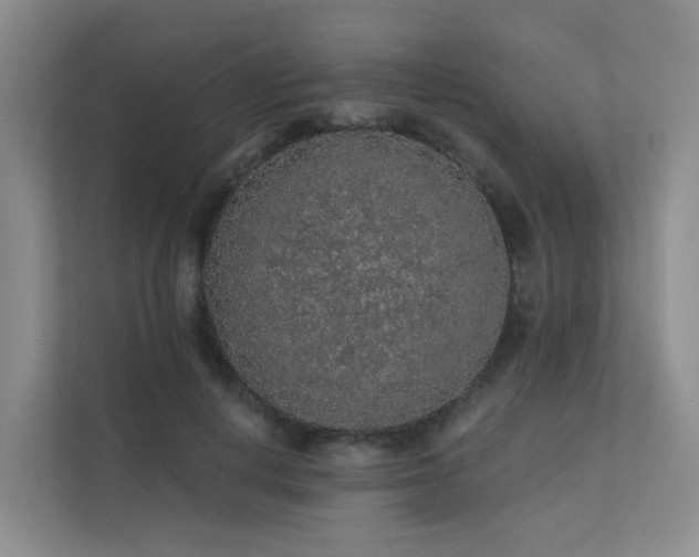 X0000112160648200908071139