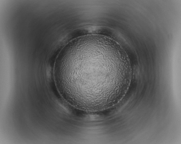 X0000112160650200908071139