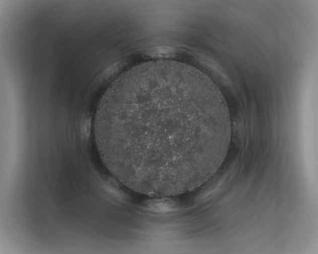 X0000112160652200908071139