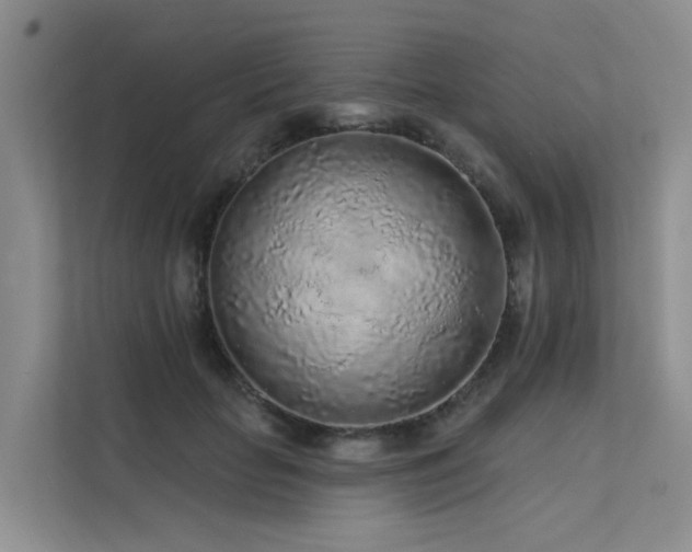 X0000112160653200908071139