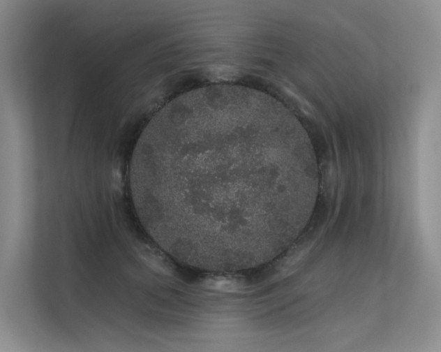 X0000112160655200908071139