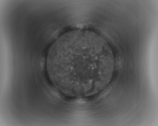 X0000112160656200908071139
