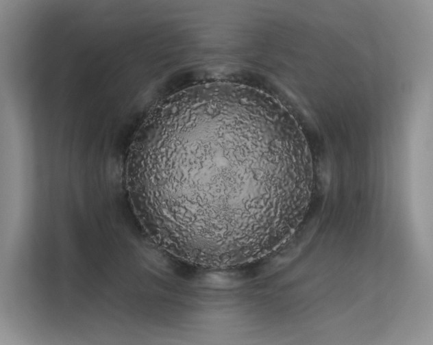 X0000112160657200908071139