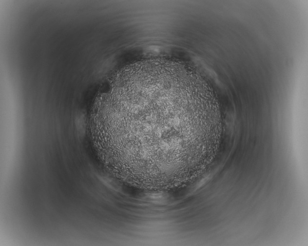 X0000112160659200908071139