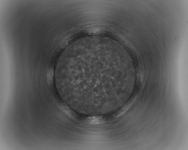 X0000112160660200908071139